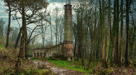 Wide angle view of ruined deserted brick industrial building with chimney located among leafless forest in Spain