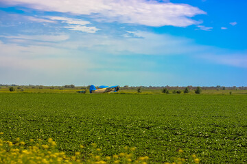 A yellow flower in a field. Aeroplane in clear summer field: commercial and agricultural helicopter service