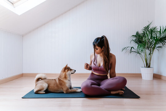 Cute obedient dog and young fit female owner in sportswear sitting together on yoga mat during training at home