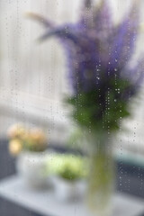 Raindrops on glass, blurred background a bouquet of flowers in the garden