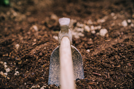 Mattock placed on ground in garden
