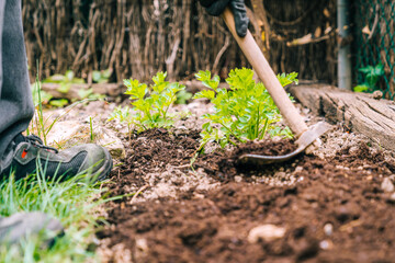 Mattock placed on ground in garden