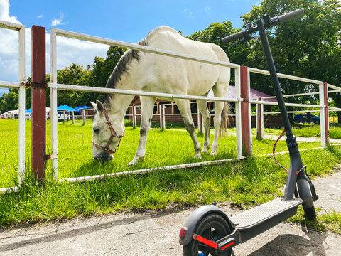 theme environmentally friendly transport. Electric scooter next to beautiful horse. Without gasoline transport. Live transport racehorse and transport of future. Technological eco friendly transport