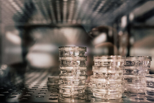 Stacks of Petri dishes with fertilized embryos placed inside refrigerator in contemporary clinic