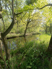 Nature Reserve The Ankeveense Plassen in April 2020