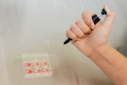 From above anonymous medical practitioner using injector to fill well plate with red liquid during work in modern laboratory of clinic