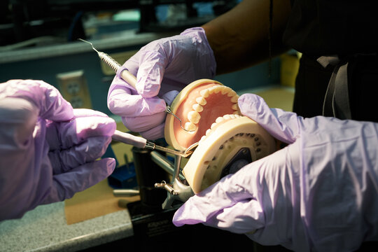 Black colleagues examining denture in laboratory