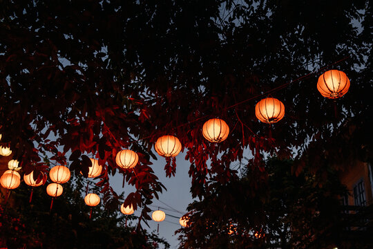 From below of illuminated oriental paper lanterns hanging in dense foliage of trees at dusk time