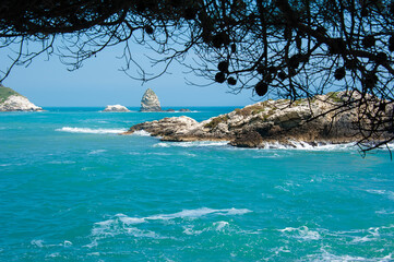 View of sea and rocks of the Gargano Coast, National park on Puglia on Italy.Branches of a tree in...