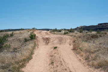 Rutted dirt road in Western Colorado