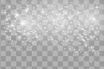 Lights sparkles isolated. Vector illustration