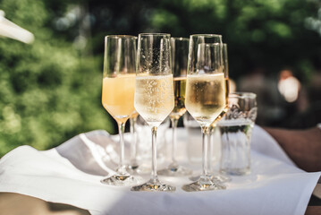 Several glasses of white wine standing on tray. Dewy glasses of champagne. Outdoor background. Celebration, birthday, party, wedding concept.