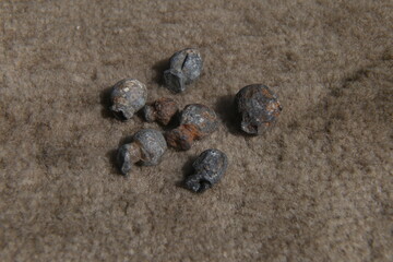 antique lead bullet for a gun