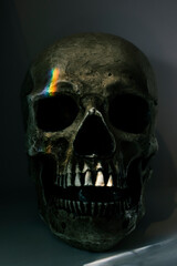 Calavera humana con luz de arcoiris