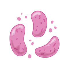 virus bacteria microbiology microscope sick isolated icon design