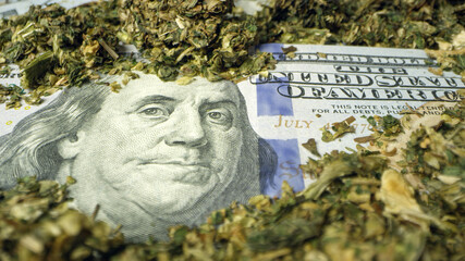 100 dollar bill covered with marijuana in macro view.