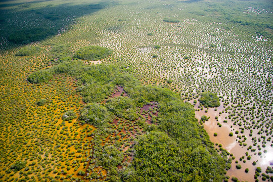 Aerial of Everglades National Park, Florida