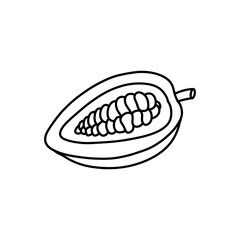 cacao fruit and beans doodle icon, vector illustration