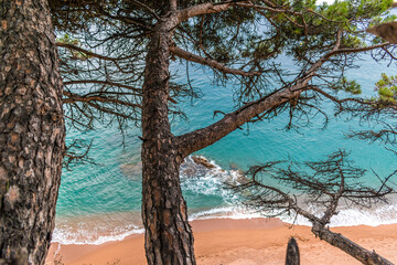 Paseando por el mar