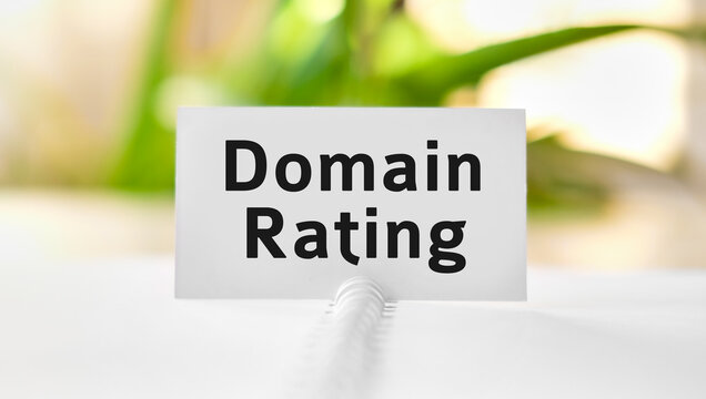 Domain rating business seo concept text on a white notebook and green flowers