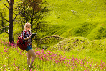 Happy adventurer female stands on the green mountain slope among flowering pink rhododendrons and looking into the distance. Epic travel in the mountains. Wide angle.