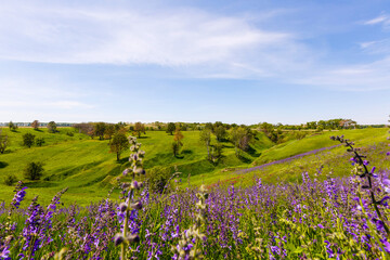 Obraz premium Spring photography, meadows, fields, ravines, hills, rural landscape. A deep, narrow gorge with steep slopes. A naturally raised area of land, not as high or craggy as a mountain.
