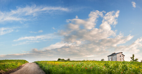 Summer road among flower fields