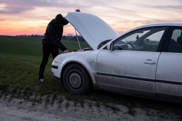 Fototapete bei efototapeten.de bestellen   