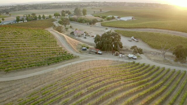 Aerial shot of vineyard by vehicles at sunset, drone flying forward over agricultural field - Paso Robles, California