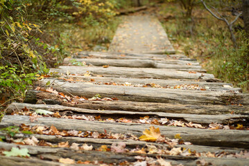 A wooden log bridge on a nature path.