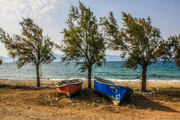 Naklejka na ściany i meble two boats and three trees on the beach