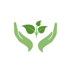 hands holding growing young green sprout of plant in flat cartoon style. vector illustration
