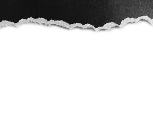 ripped of paper on white background