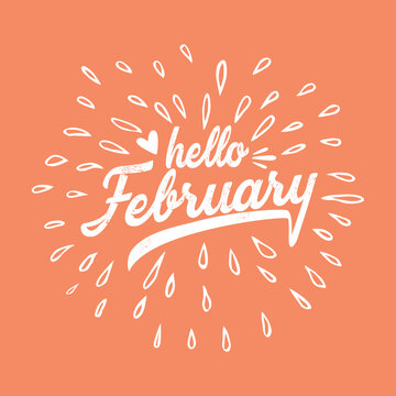 Hello February, Firework,Vector for greeting, new month. Hand drawn  calligraphy and text Hello February
