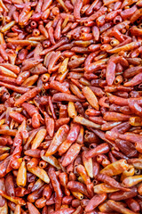 Dried red chilis in a pile ready for sale.