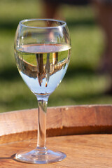 looking at a glass of white wine with people being reflected in the liquid