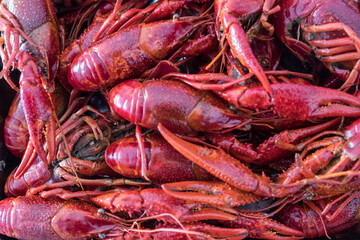 A plate of steamed fresh prawns.
