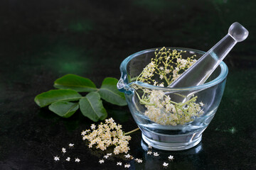 Bloom elderflower Sambucus nigra on black background. elderberry, on a glass mortar , European elderberry and European black elderberry.