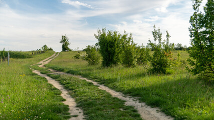 Fototapeta na wymiar Pretty dirt road in the middle of a green landscape