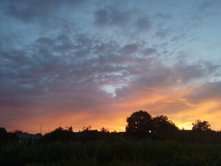 Night view of beautiful gray pink sunset and cloudy sky thought dark black forest and trees