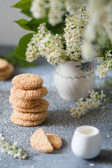 Obraz na płótnie Canvas Freshly baked round sesame cookies with a bouquet of bird cherry on a gray table. Selective focus. Front view