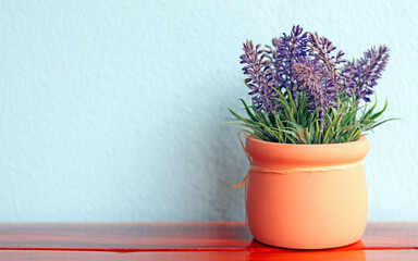 The lavender flowers beautiful in flowerpot on the wooden table isolated in blue wall, blurred background. Selective focus on lavenders, has copy space for texts, can use as a natural background.