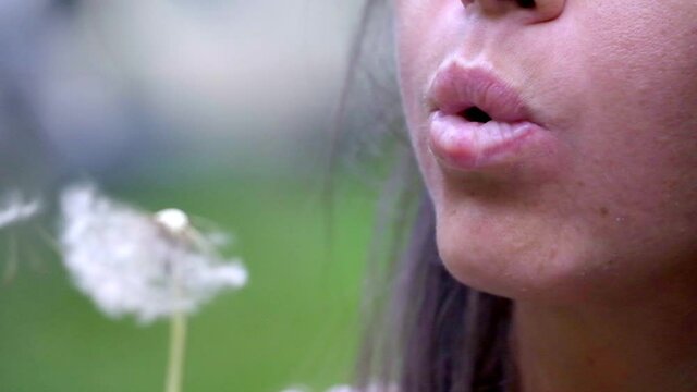 slow motion of girl blowing off dandelion color