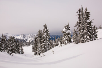 Wintry scene at Paradise, Mt. Rainier National Park in Washington state
