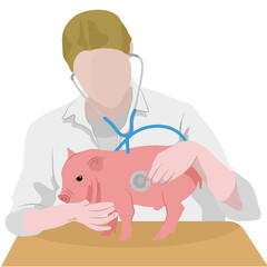 The vet is checking the piglet's health.