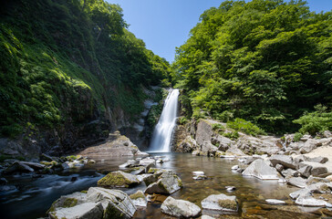日本の宮城県の観光地「秋保大滝」春の様子