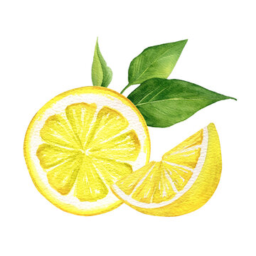 Watercolor hand painted slice of fresh lemon with branch of green leaves. Isolated white background. Clipart illustration for design cooking menu, poster, label, presentation.