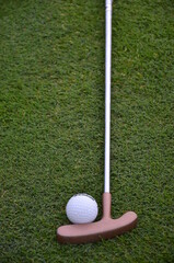 golf ball and golf club on green