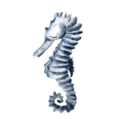 Hand-drawn watercolor sea horse with closed eyes . Indigo blue color. Peaceful, beautiful, cute illustration isolated on white background. Sleeping ocean creature. Design for invitation, post cards. © PolinaVyun
