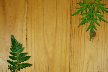 corner frame of tropical plant leaves on wooden vintage background